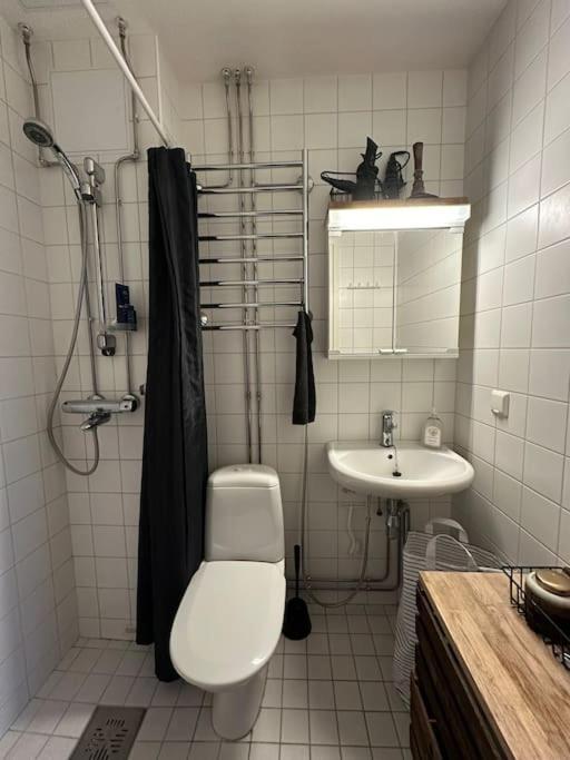 Appartamento Uniikki, Kodikas Ja Supermukava Huoneisto Ydinkeskustassa! Helsinki Esterno foto